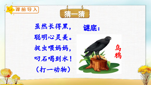 乌鸦喝水 课件(共31张PPT)