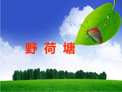 四年级下册语文课件-5.3《野荷塘》  ｜长春版            (共22张PPT)