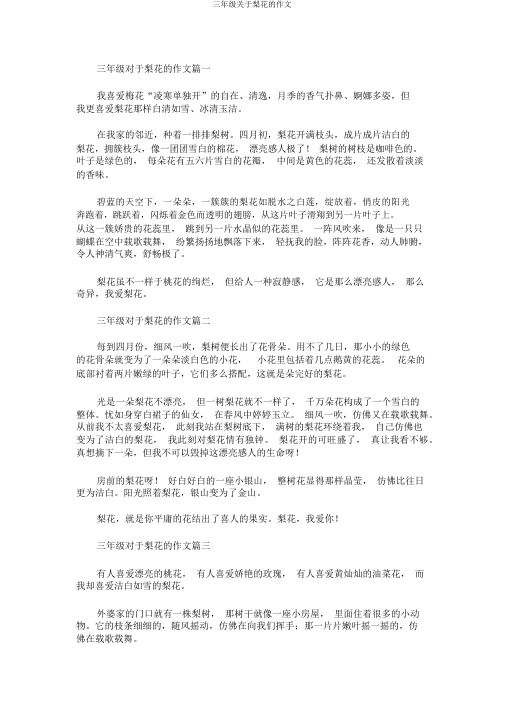 三年级关于梨花的作文