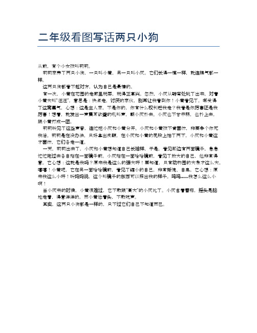 二年级看图写话两只小狗