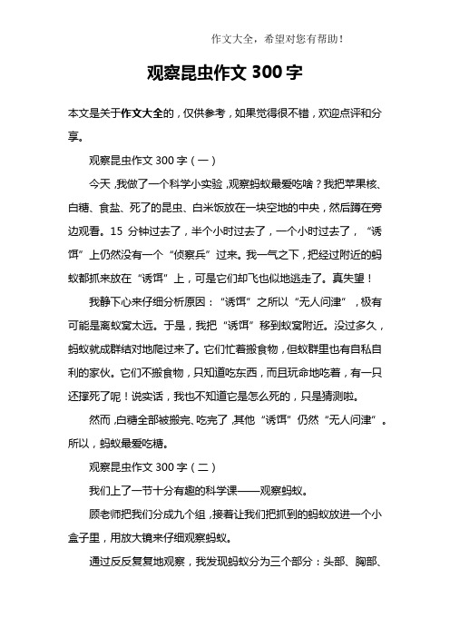 观察昆虫作文300字