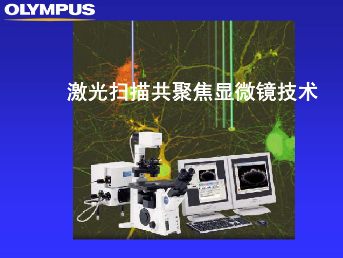 激光共聚焦