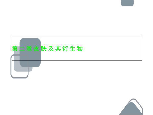 第二章皮肤及其衍生物