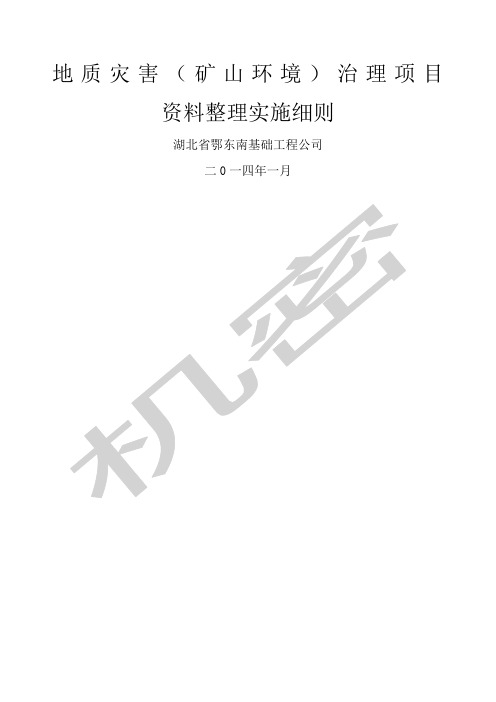 地质灾害实施细则