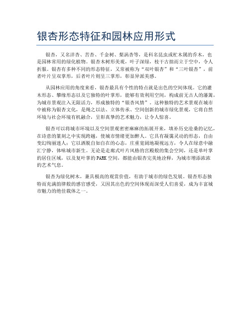 银杏形态特征和园林应用形式