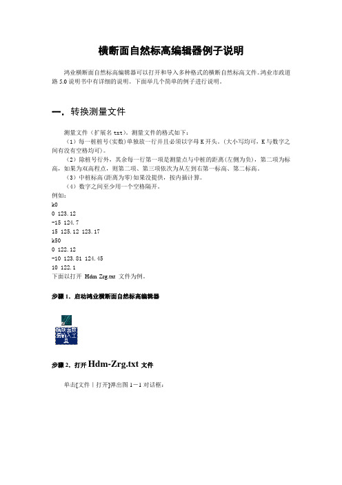 横断面自然标高编辑器例子说明