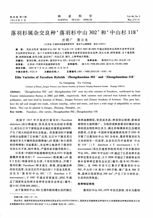 落羽杉属杂交良种‘落羽杉中山302’和‘中山杉118’