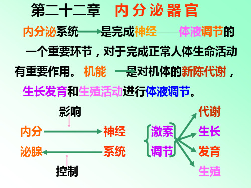 解剖学 内分泌