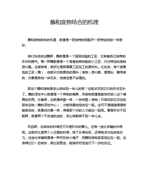酶和底物结合的机理