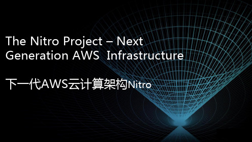 下一代AWS云计算架构Nitro