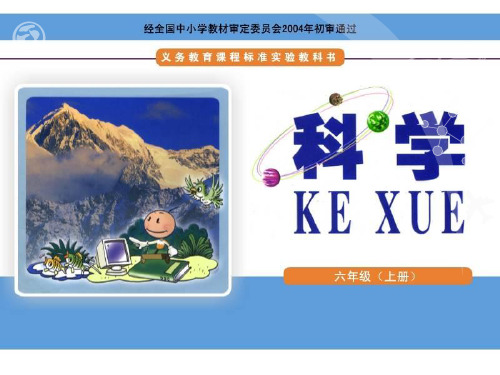 湘教版科学6年级上册4-4太阳能的利用