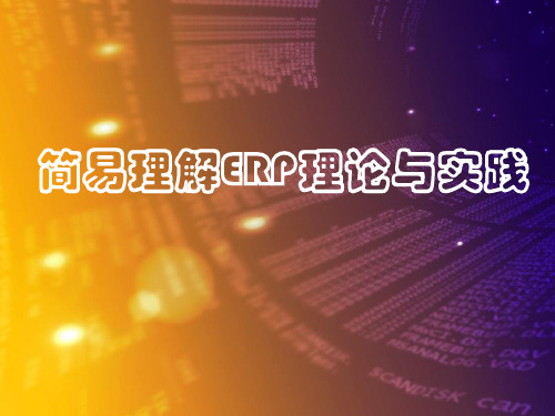 ERP理论与实践的简易理解