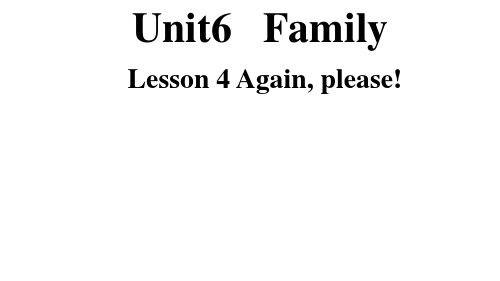 Unit 6 Family Lesson 4 Again,please课件四年级上册英语(鲁科版)