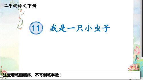最新部编统编人教版二年级语文下册《11我是一只小虫子》生字教学课件