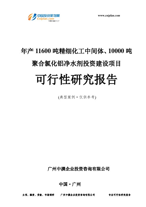 年产11600吨精细化工中间体、10000吨聚合氯化铝净水剂投资建设项目可行性研究报告-广州中撰咨询