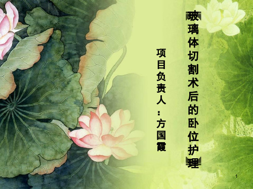 玻璃体切割术后PPT演示幻灯片