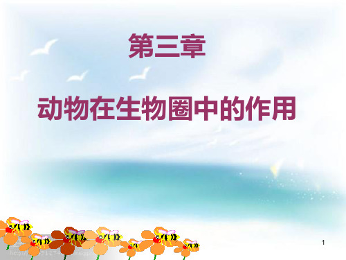 初中生物 新人教版动物在生物圈中作用ppt课件
