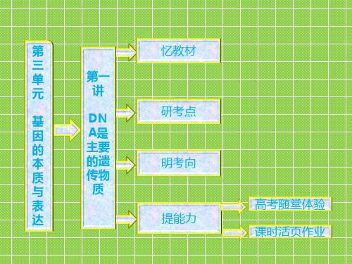 2013《三维设计》高三生物一轮复习必修2第三单元第一讲DNA是主要的遗传物质