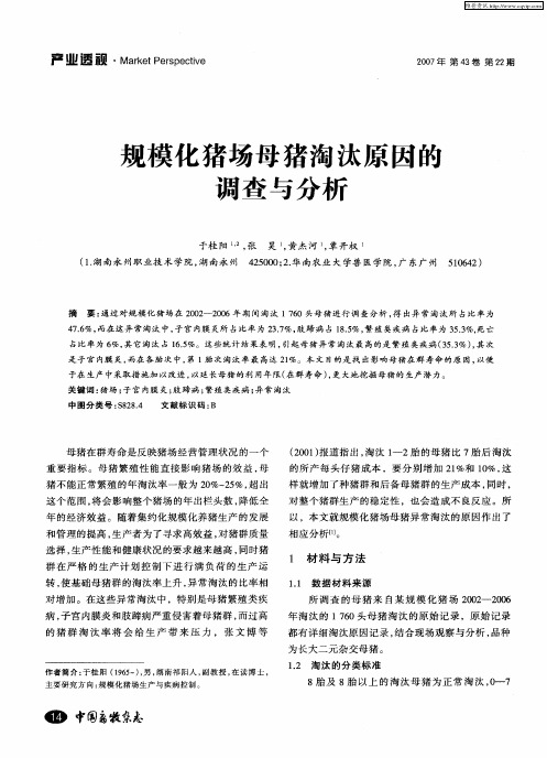 规模化猪场母猪淘汰原因的调查与分析