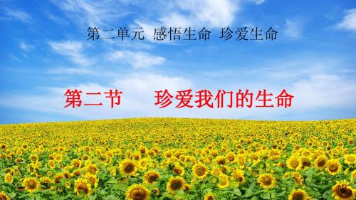 珍爱我们的生命