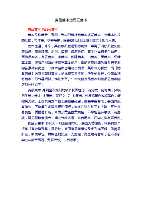 真品藁本伪品云藁本