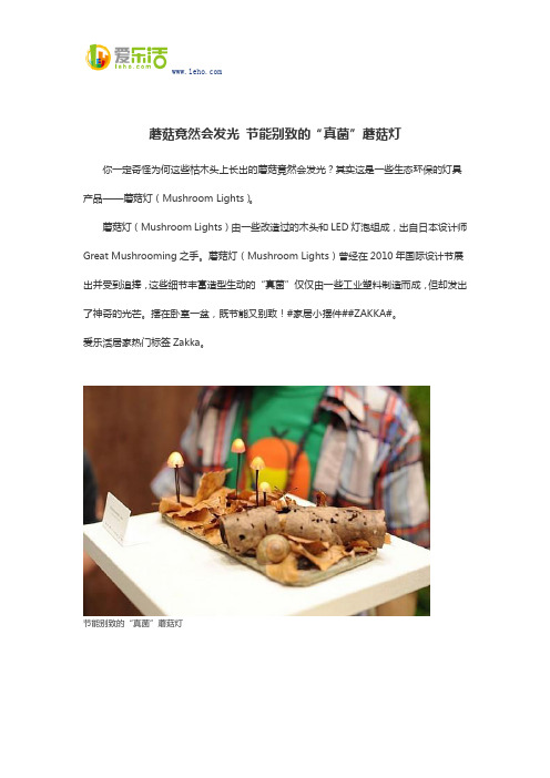蘑菇竟然会发光 节能别致的“真菌”蘑菇灯