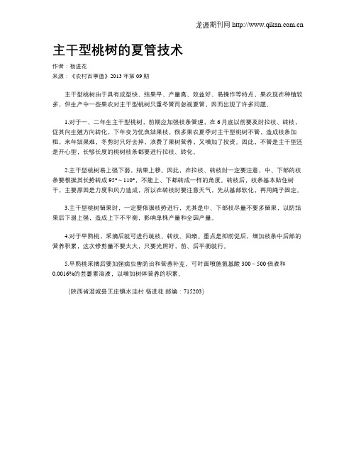主干型桃树的夏管技术