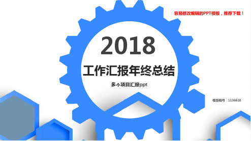 【优秀文档】2018年多个项目汇报ppt【精美ppt】
