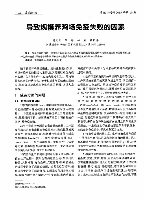 导致规模养鸡场免疫失败的因素