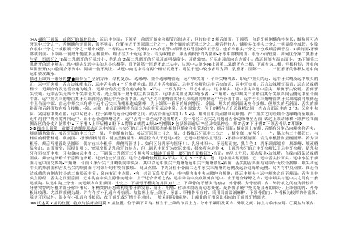 口腔解剖学大题