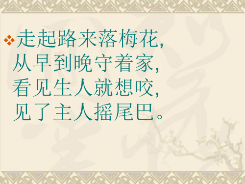 美术课人类的朋友ppt