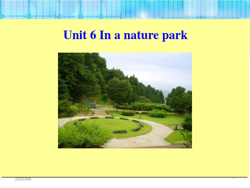 人教版五年级英语上册Unit 6 第六课时