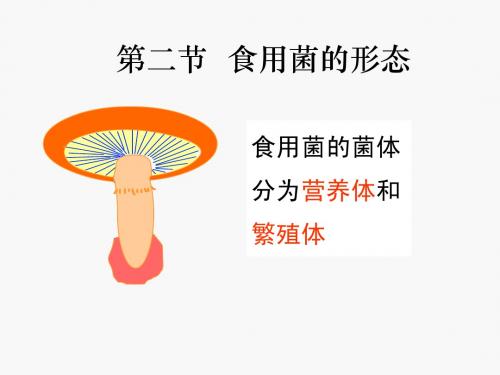 2、食用菌形态