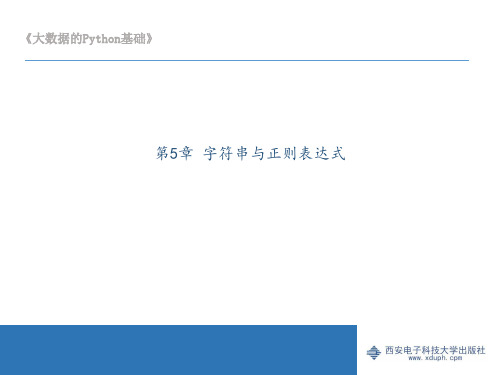 第5章 字符串与正则表达式图文模板