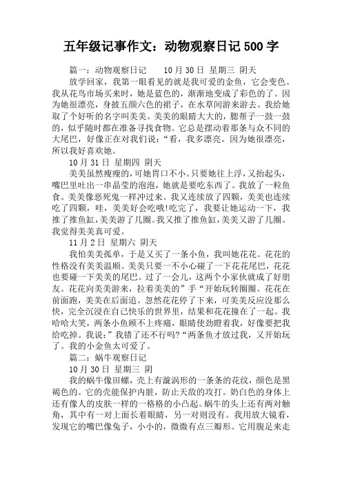 五年级记事作文：动物观察日记500字