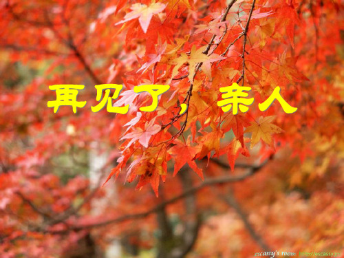 《再见了,亲人》PPT课件五