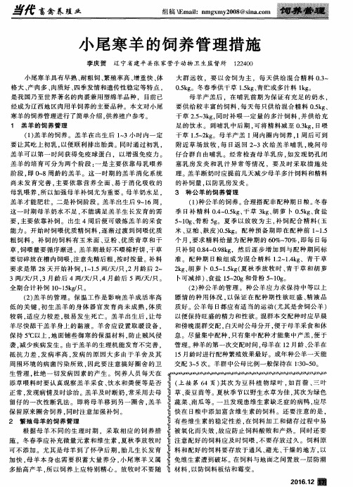 小尾寒羊的饲养管理措施