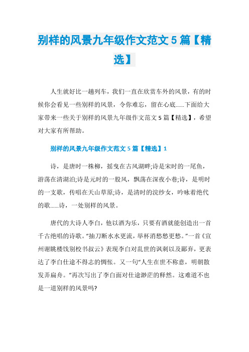 别样的风景九年级作文范文5篇【精选】