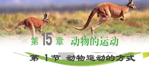 15.1 动物运动的方式