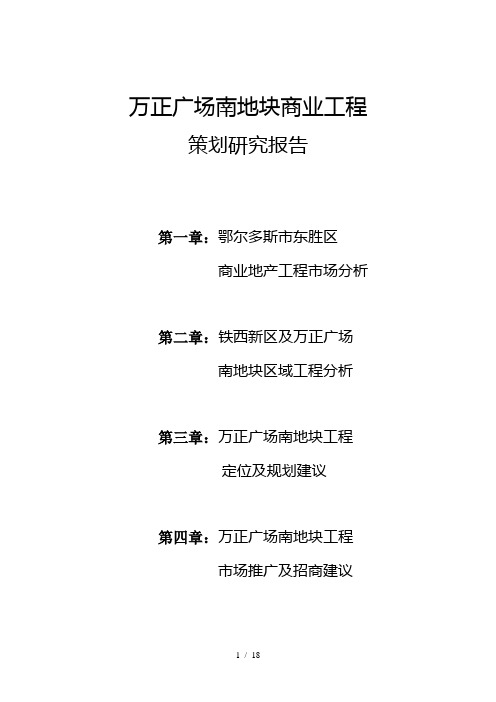 万正广场南地块商业商务项目策划研究报告报告
