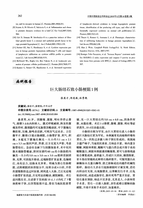 巨大肠结石致小肠梗阻1例