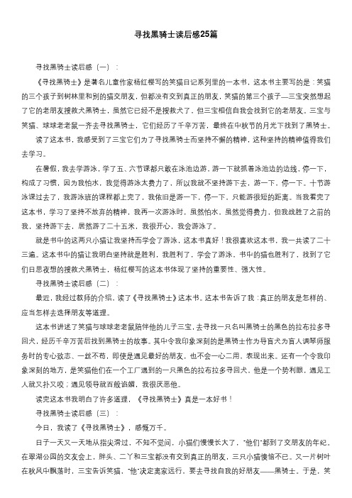 寻找黑骑士读后感25篇