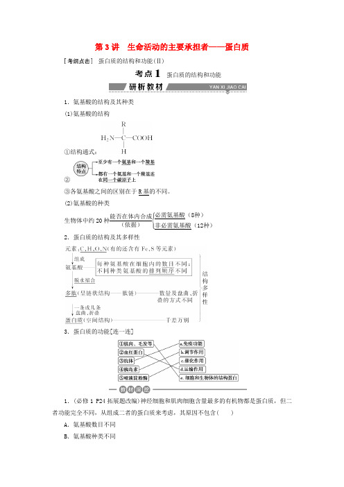 2019高考生物一轮复习 第03讲 生命活动的主要承担者——蛋白质教案 新人教版必修1