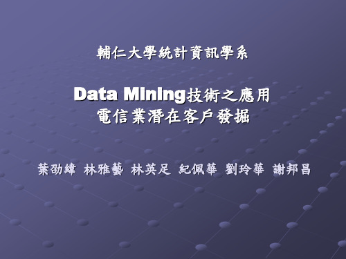Data Mining技术电信之应用.ppt