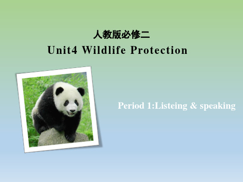 人教版高一英语必修二Unit4 Listening and Speaking课件