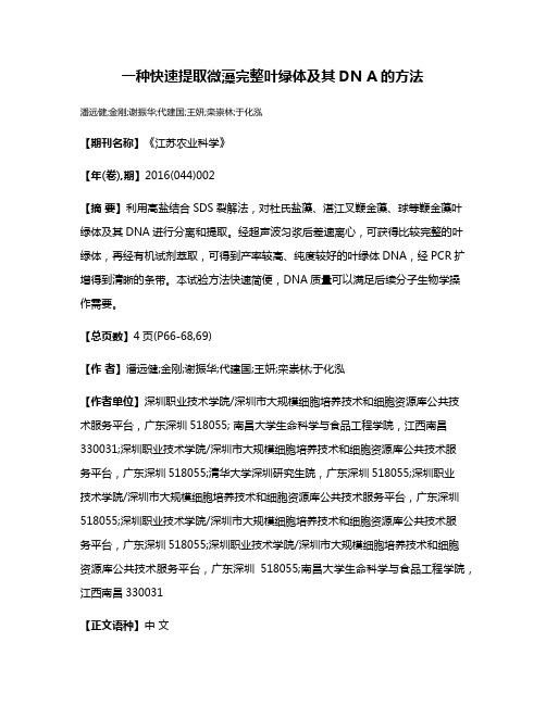 一种快速提取微藻完整叶绿体及其DN A的方法