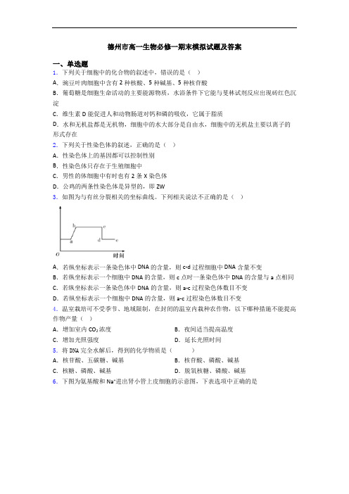 德州市高一生物必修一期末模拟试题及答案