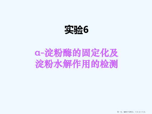 α-淀粉酶的固定化及淀粉水解作用的检测