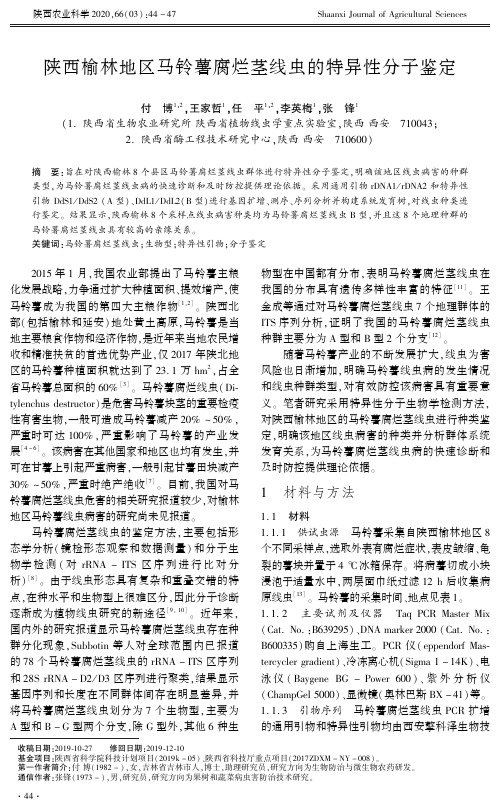 陕西榆林地区马铃薯腐烂茎线虫的特异性分子鉴定