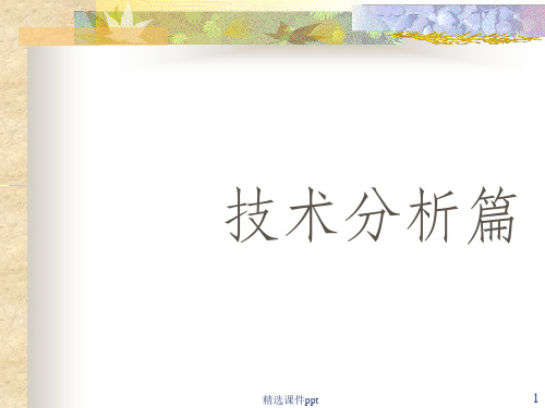 《技术分析概论》PPT课件